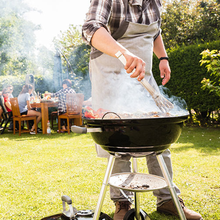 Barbecue/plancha